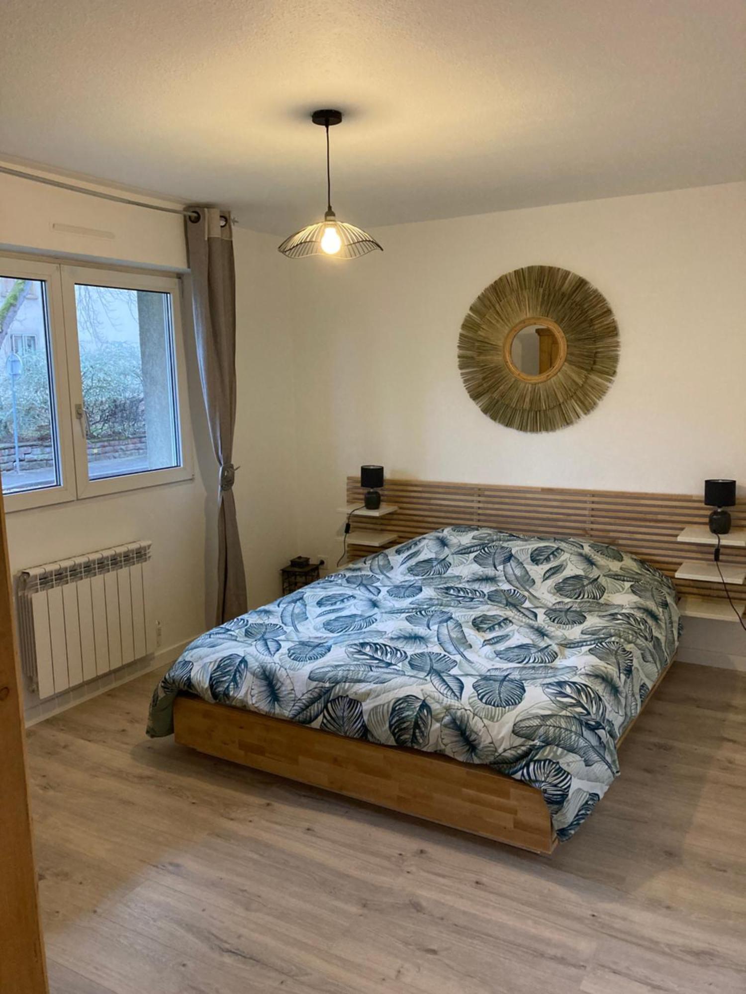 Appartement Le Maennele Strasbourg Exterior photo